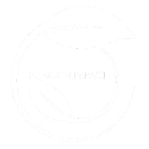 Earth Impact Logo